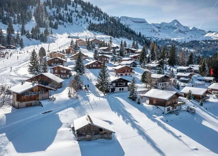 度假居 Burehuesli