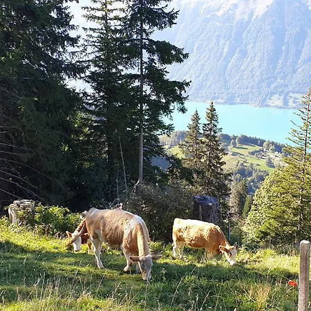 Burehüsli Сasa de vacaciones